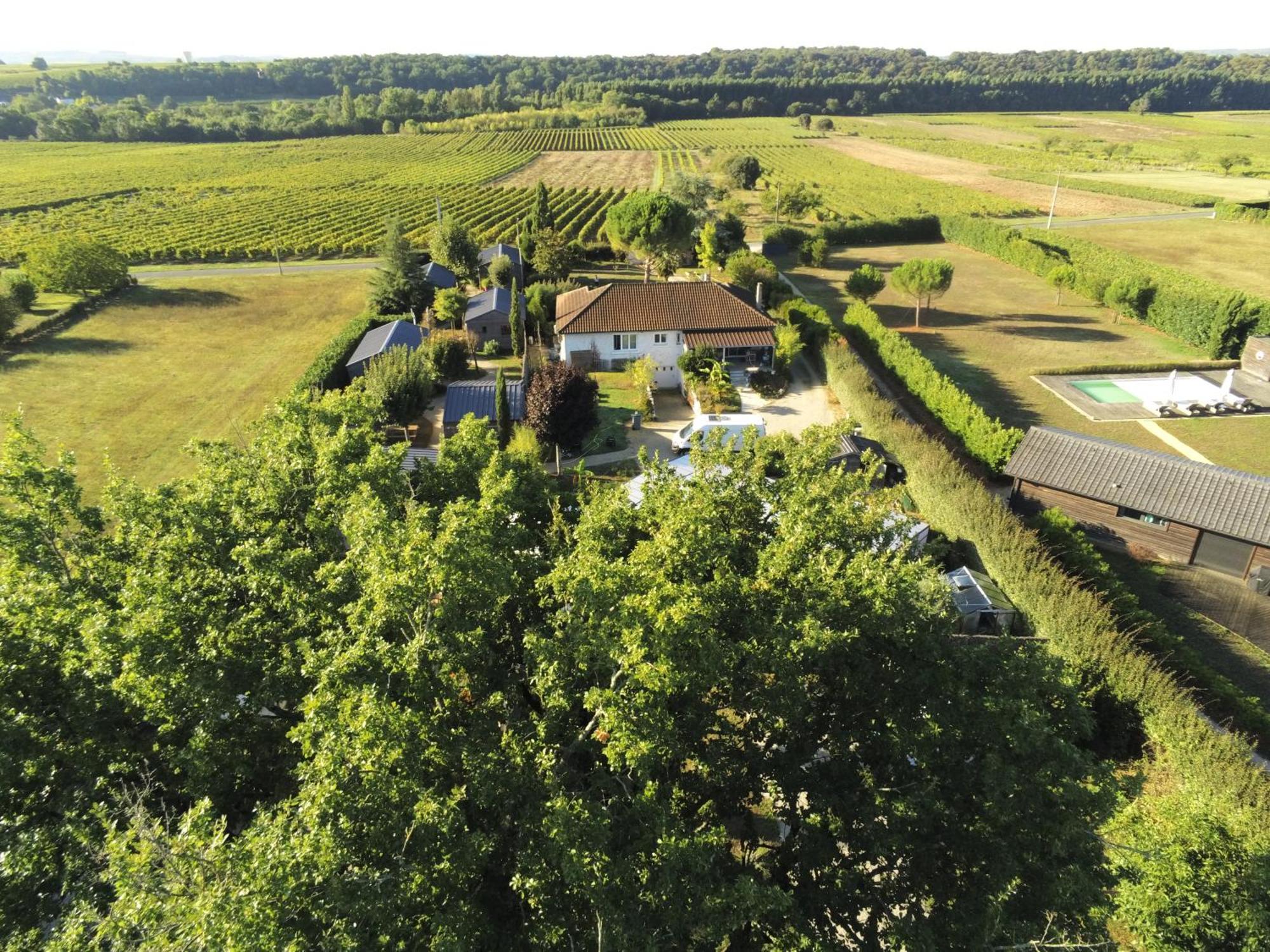 Les Pilotis Du Cognac Bourg-Charente Exterior foto